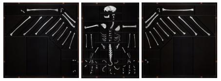 Ilkka Halso: Lintu, sarjasta Evoluutio, 1991 / Suomen valokuvataiteen museon kokoelma.